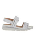 110431 150 Elody White