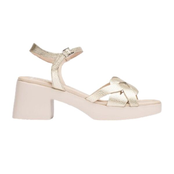 Σανδάλια D-1011 Max Platino