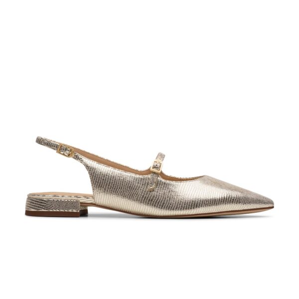 Sensa15 Shine Champagne int