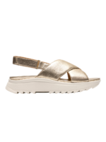 DashLite Wish Gold Leather