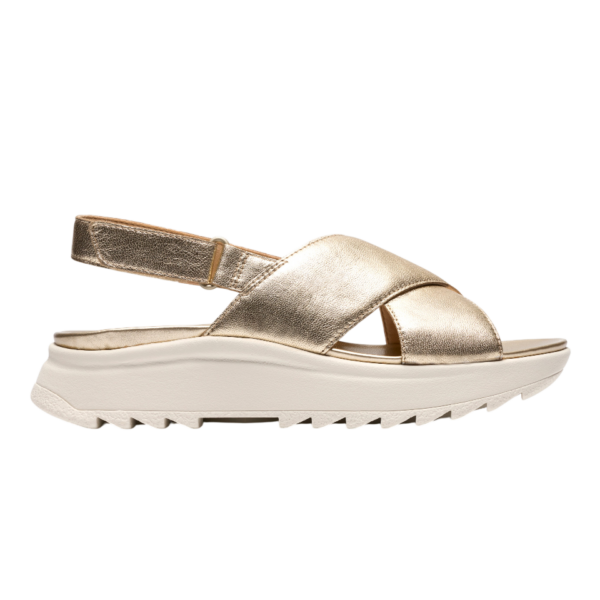 DashLite Wish Gold Leather
