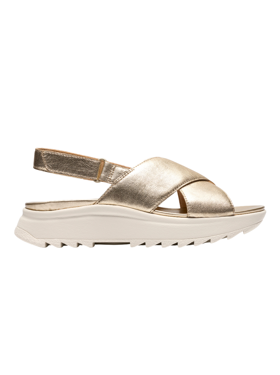DashLite Wish Gold Leather - Image 1